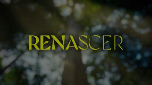 Imagem com logotipo da novela Renascer