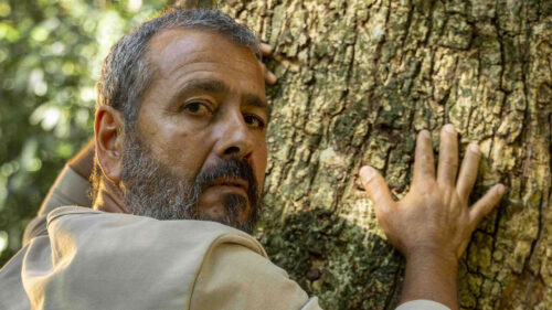 José Inocêncio (Marcos Palmeira) com as mãos no imponente jequitibá