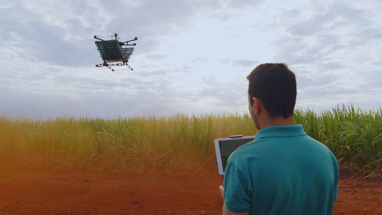 Homem opera drone sobre plantação de cana-de-açúcar usando controle remoto com tela