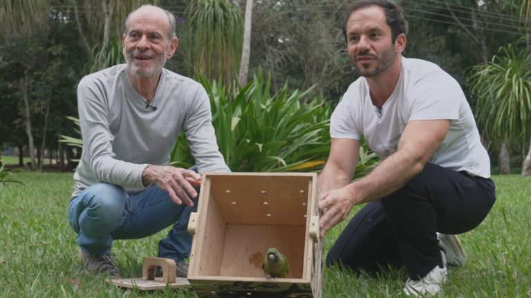 Ney Matogrosso e homem agachados ao lado de caixa de madeira com papagaio em área verde no Globo Repórter